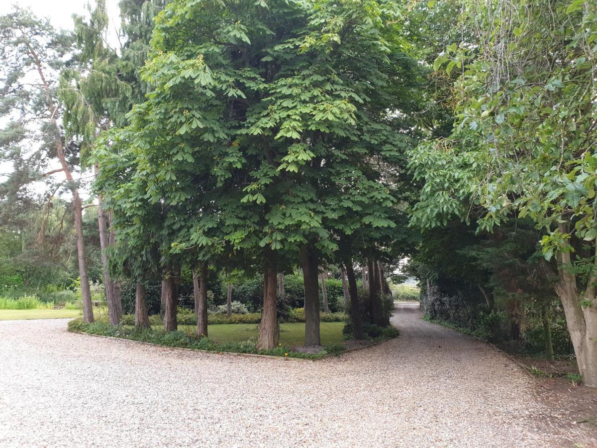 The With Gardens And Koi Pond * Reading