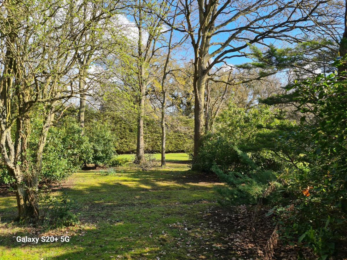 The With Gardens And Koi Pond * Reading