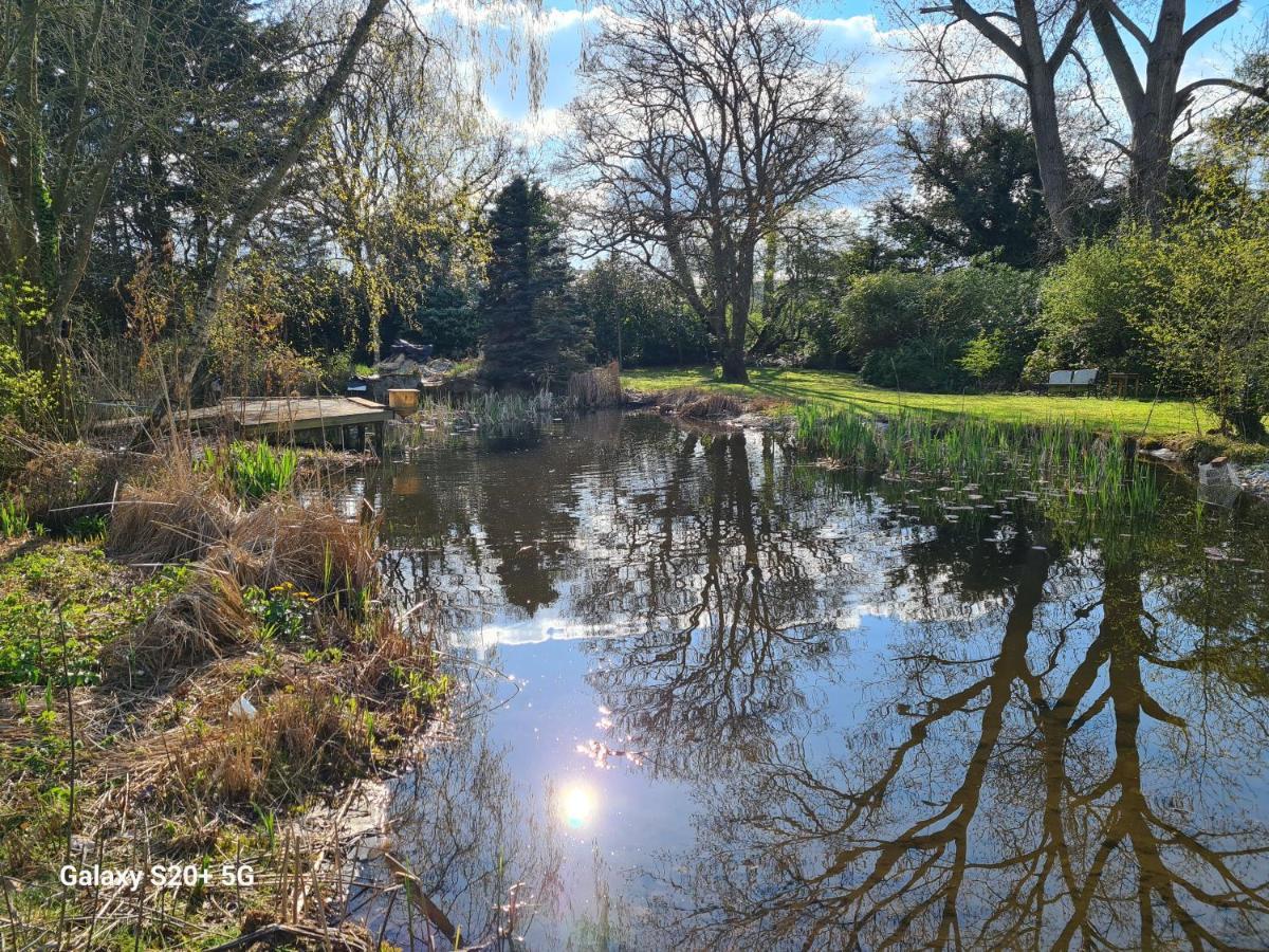 The With Gardens And Koi Pond * Reading